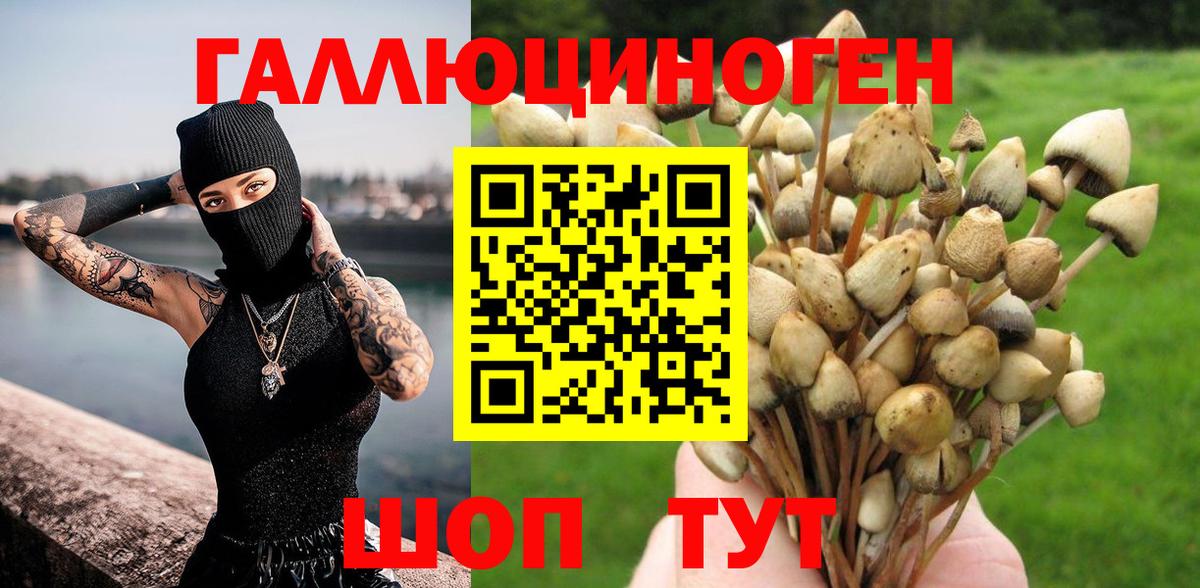 Псилоцибиновые грибы прущие грибы Морозовск