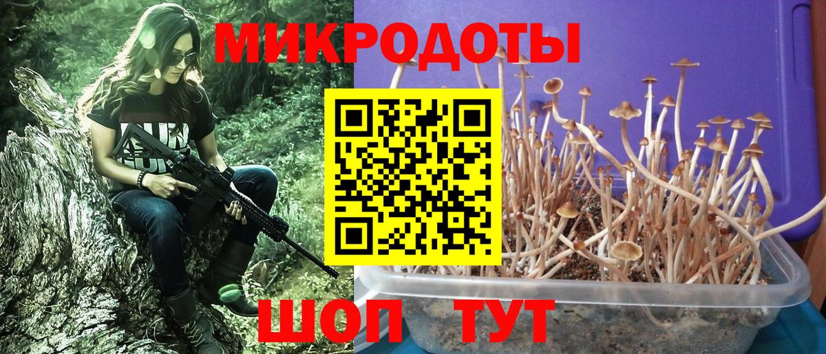 Морозовск  Галлюциногенные грибы Psilocybe  Псилоцибиновые грибы мицелий  Вход с VPN 